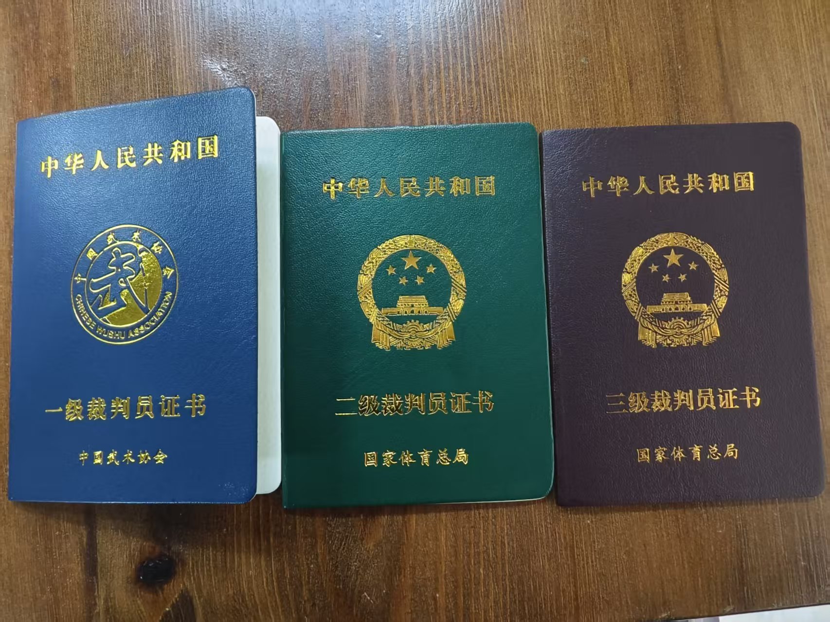 武术裁判员证书（一级、二级、三级）